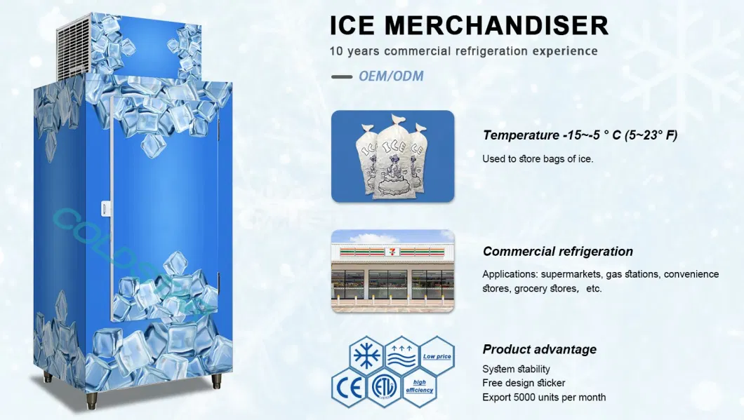 Outdoor Commercial Bagged Ice Freezer Merchandiser Cold Room Storage Bin