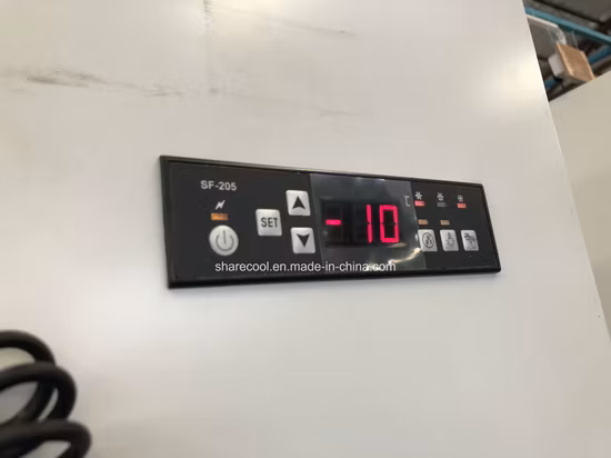 ガラスドアのアイスマーチャンダイザーのアイスストレージビンを展示